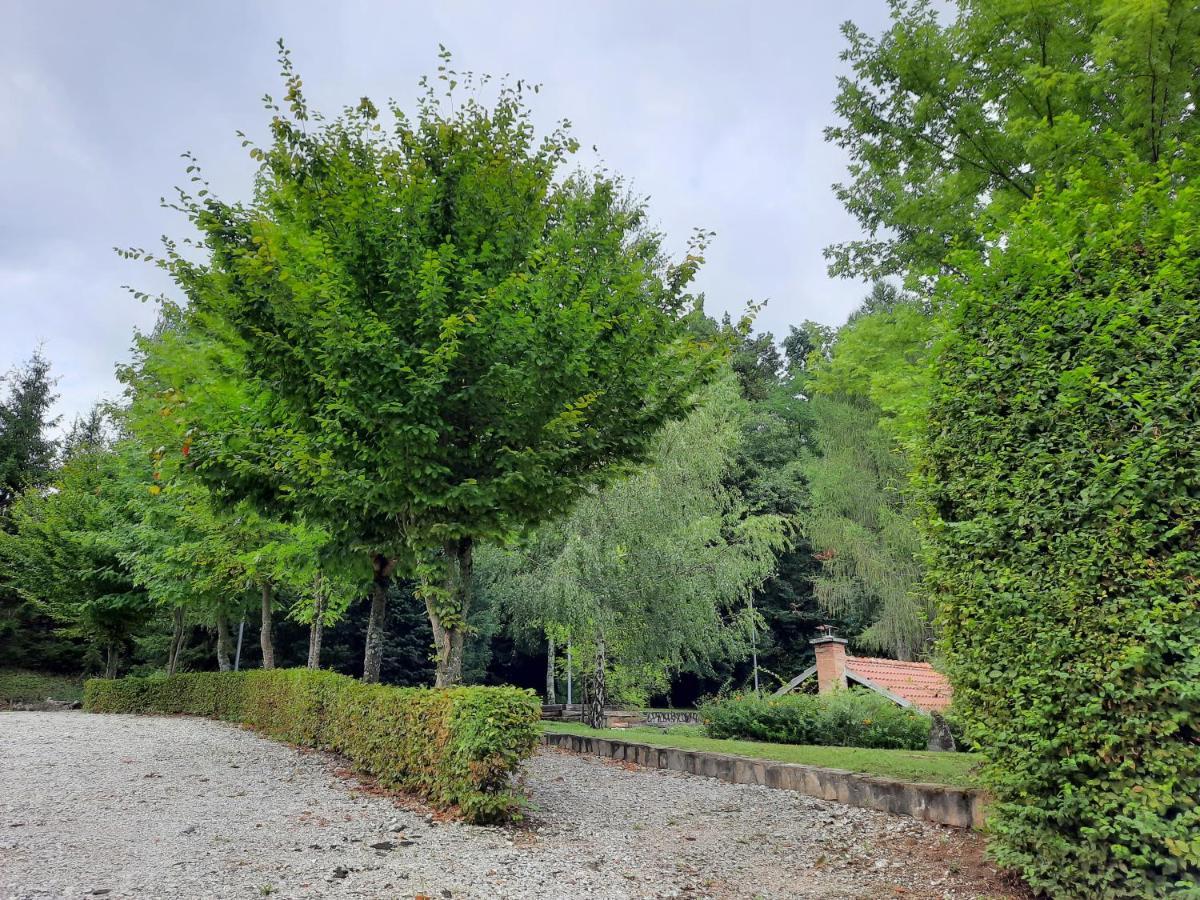 Pocitniska Hisa Parkfield Dragovan Метлика Экстерьер фото