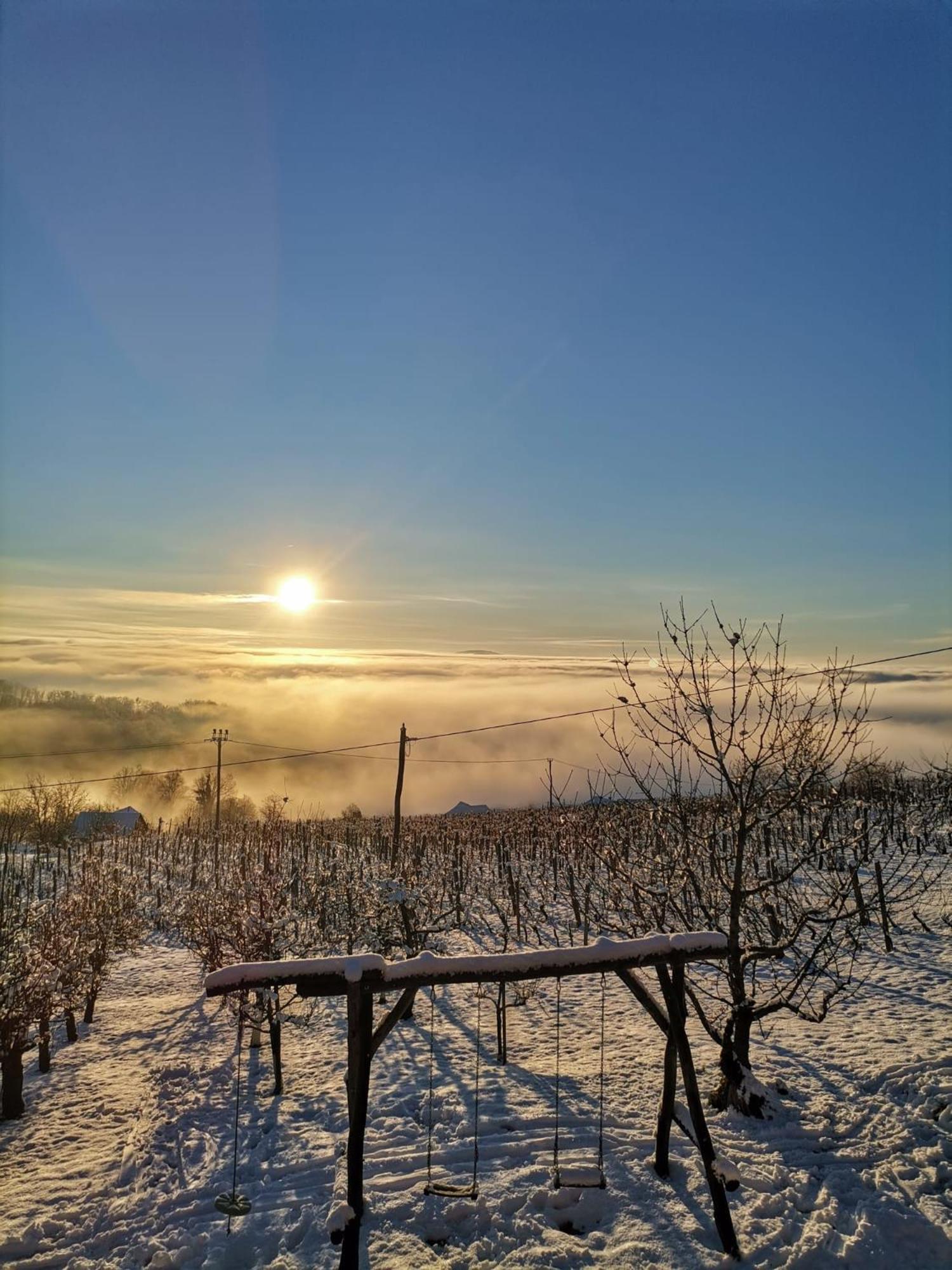 Pocitniska Hisa Parkfield Dragovan Метлика Экстерьер фото